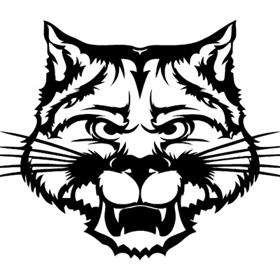 Wildcat